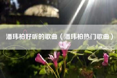 潘玮柏好听的歌曲（潘玮柏热门歌曲）
