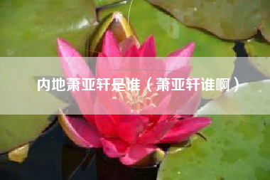 内地萧亚轩是谁（萧亚轩谁啊）