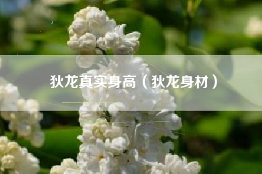 狄龙真实身高（狄龙身材）