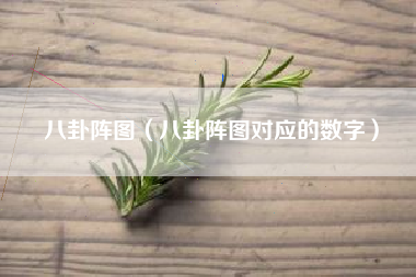 八卦阵图（八卦阵图对应的数字）