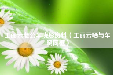 王丽云老公车晓彤资料（王丽云晒与车晓同框）