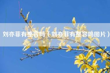 刘亦菲有整容吗（刘亦菲有整容吗图片）