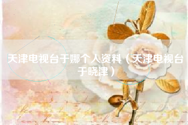 天津电视台于娜个人资料（天津电视台于晓津）