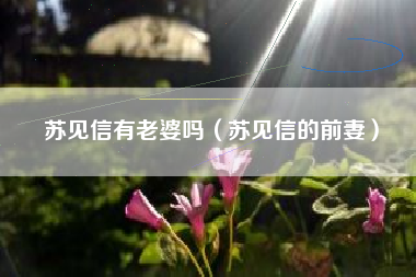 苏见信有老婆吗（苏见信的前妻）
