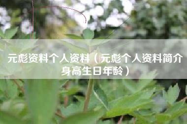 元彪资料个人资料（元彪个人资料简介身高生日年龄）