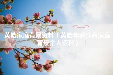黄皓家庭背景资料（黄皓年龄身高家庭背景个人资料）