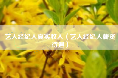 艺人经纪人真实收入（艺人经纪人薪资待遇）