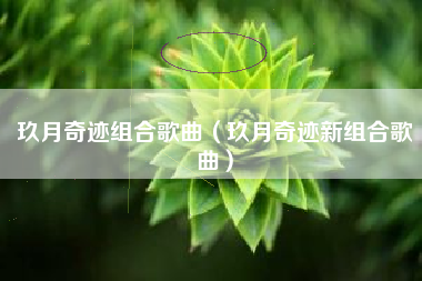 玖月奇迹组合歌曲（玖月奇迹新组合歌曲）