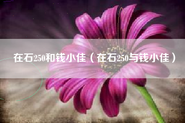 在石250和钱小佳（在石250与钱小佳）