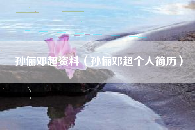 孙俪邓超资料（孙俪邓超个人简历）