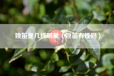 姚笛是几线明星（姚笛有钱吗）