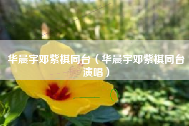 华晨宇邓紫棋同台（华晨宇邓紫棋同台演唱）