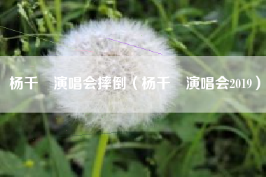 杨千嬅演唱会摔倒（杨千嬅演唱会2019）