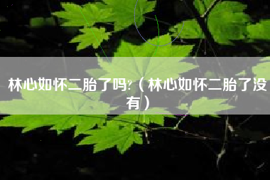 林心如怀二胎了吗?（林心如怀二胎了没有）