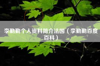 李勤勤个人资料简介法国（李勤勤百度百科）