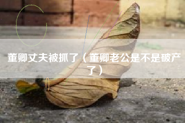 董卿丈夫被抓了（董卿老公是不是破产了）