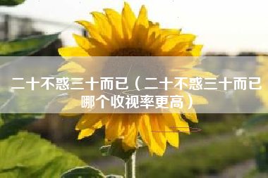 二十不惑三十而已（二十不惑三十而已哪个收视率更高）