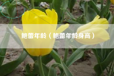 鲍蕾年龄（鲍蕾年龄身高）