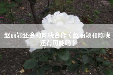 赵丽颖还会和陈晓合作（赵丽颖和陈晓还有可能吗）