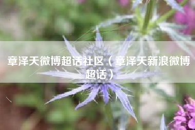 章泽天微博超话社区（章泽天新浪微博超话）