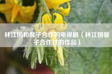 林江国和馨子合作的电视剧（林江国馨子合作过的作品）