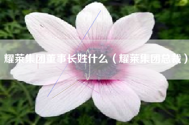 耀莱集团董事长姓什么（耀莱集团总裁）