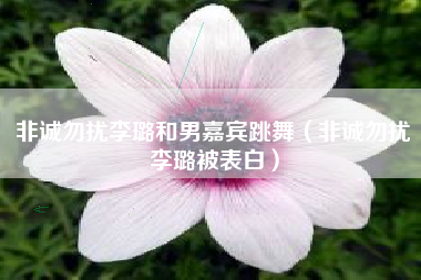 非诚勿扰李璐和男嘉宾跳舞（非诚勿扰李璐被表白）