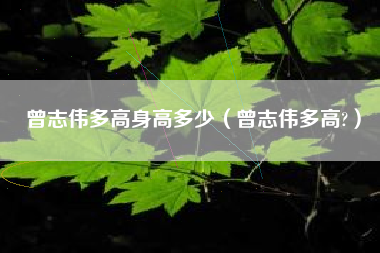 曾志伟多高身高多少（曾志伟多高?）