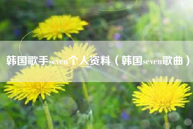 韩国歌手seven个人资料（韩国seven歌曲）