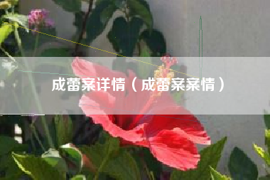 成蕾案详情（成蕾案案情）