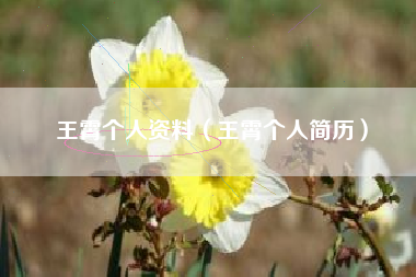 王霄个人资料（王霄个人简历）