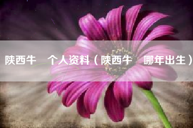 陕西牛犇个人资料（陕西牛犇哪年出生）