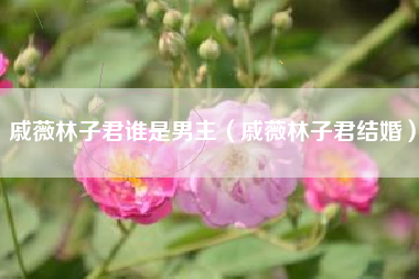 戚薇林子君谁是男主（戚薇林子君结婚）