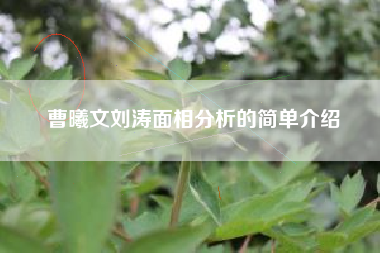 曹曦文刘涛面相分析的简单介绍