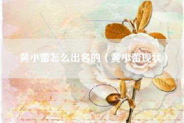 黄小蕾怎么出名的（黄小蕾现状）