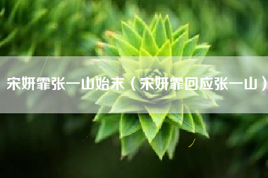宋妍霏张一山始末（宋妍霏回应张一山）