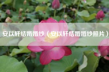 安以轩结婚婚纱（安以轩结婚婚纱照片）
