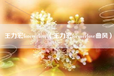 王力宏foreverlove（王力宏foreverlove曲风）