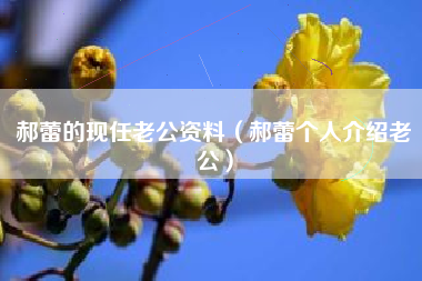 郝蕾的现任老公资料（郝蕾个人介绍老公）