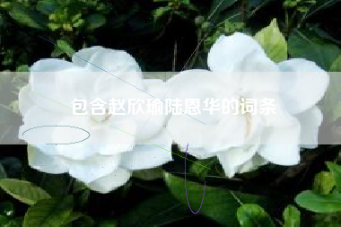 包含赵欣瑜陆恩华的词条