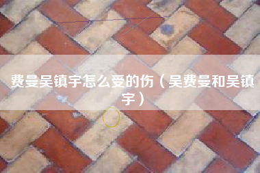 费曼吴镇宇怎么受的伤（吴费曼和吴镇宇）