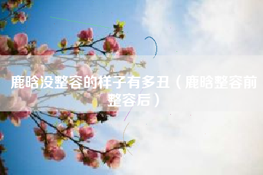 鹿晗没整容的样子有多丑（鹿晗整容前整容后）