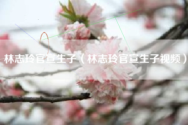 林志玲官宣生子（林志玲官宣生子视频）