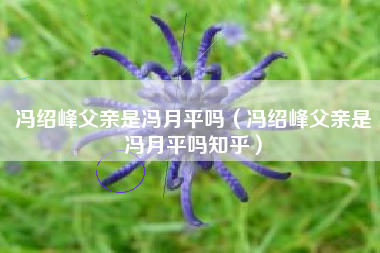 冯绍峰父亲是冯月平吗（冯绍峰父亲是冯月平吗知乎）