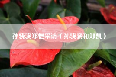 孙骁骁郑恺采访（孙骁骁和郑凯）