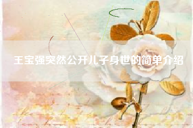 王宝强突然公开儿子身世的简单介绍