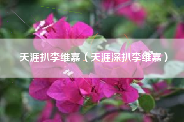 天涯扒李维嘉（天涯深扒李维嘉）