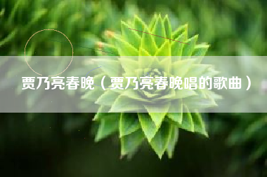 贾乃亮春晚（贾乃亮春晚唱的歌曲）