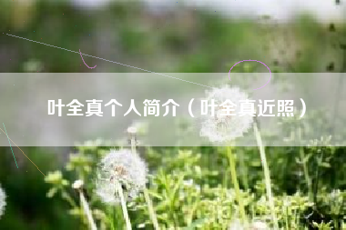 叶全真个人简介（叶全真近照）