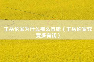 王岳伦家为什么那么有钱（王岳伦家究竟多有钱）